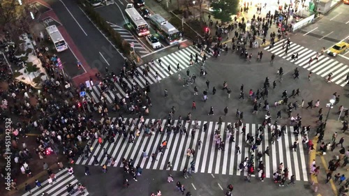 Wallpaper Mural TOKYO - SHIBUYA CROSSING Torontodigital.ca