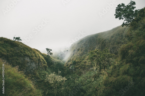 misty morning in the mountains