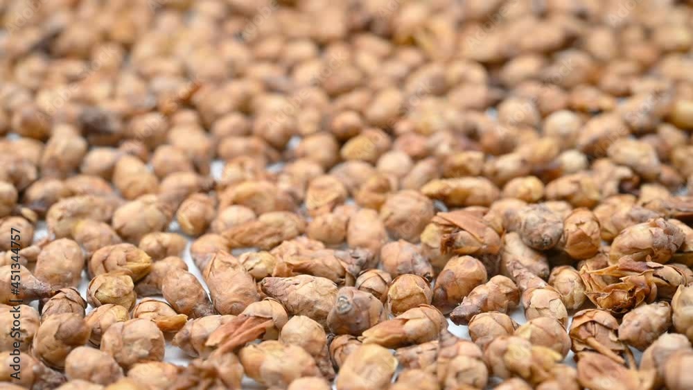 angle view herb Lameihua or Chimonathi Praecocis Flos or Winteersweet Flower Bud rotating angle view herb Lameihua or Chimonathi Praecocis Flos or Winteersweet Flower Bud rotating