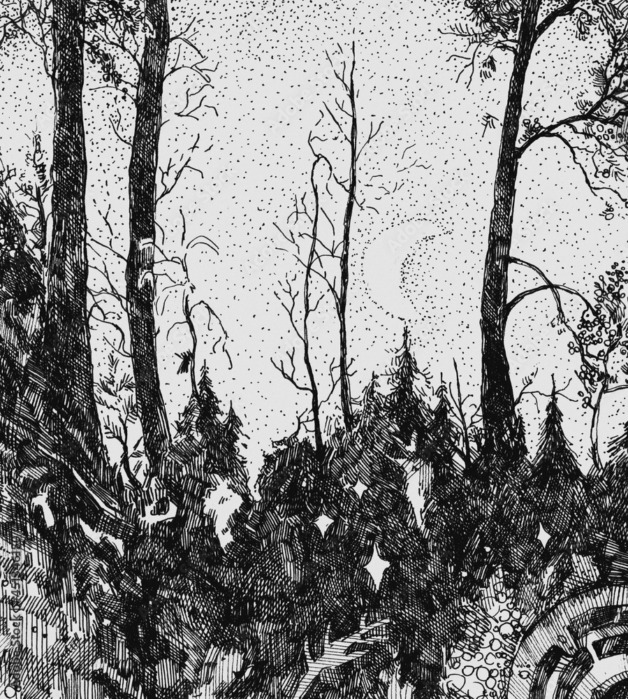 The drawing with a forest. Ink illustration. Ілюстрація Stock | Adobe Stock