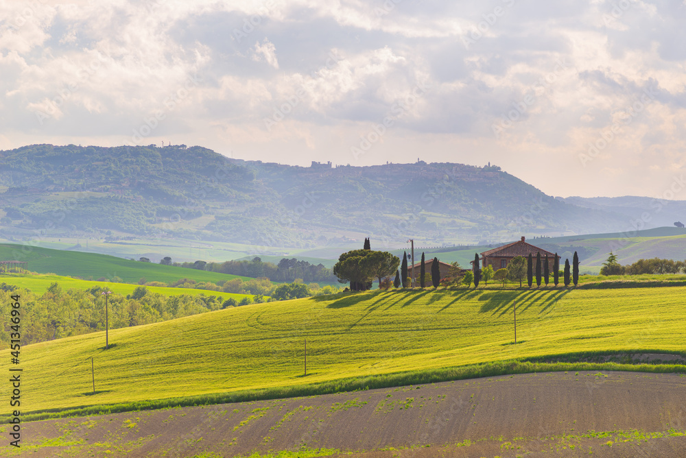Fototapeta premium Unique green landscape in Orcia Valley, Tuscany, Italy. Morning light with mist and fog over cultivated hill range and cereal crop fields.