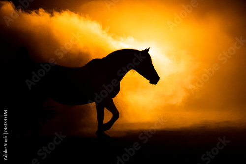 Horse walking in front of a orange smoke background 