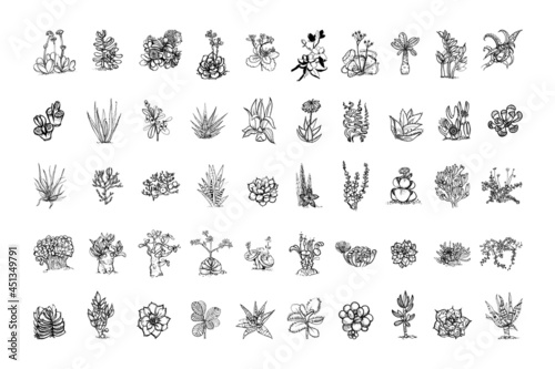 Collection of monochrome illustrations of succulents in sketch style. Hand drawings in art ink style. Black and white graphics. photo