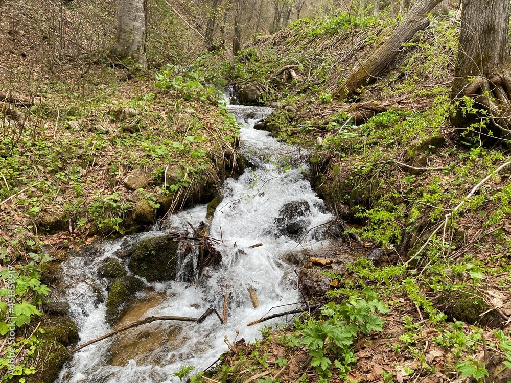 waterfall in the woods