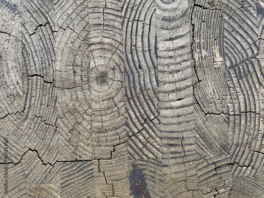 Fototapeta premium old wood texture