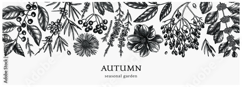 Hand-sketched autumn banner. Elegant botanical design with autumn leaves, berries, flowers sketches. Perfect for invitation, cards, flyers, menu, label, banner, packaging. Vintage floral template. photo