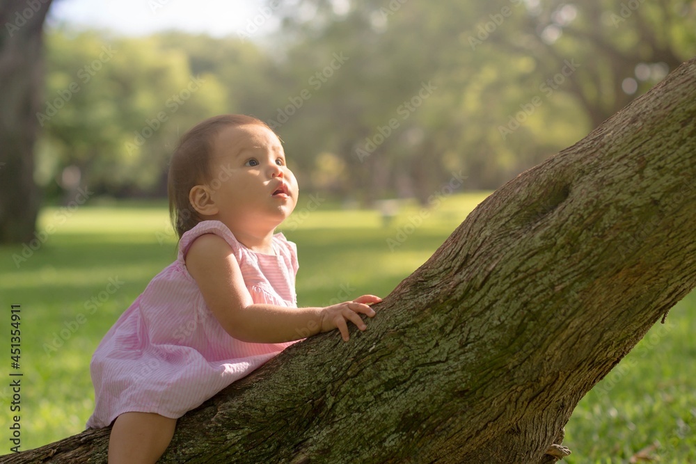A young child sitting in nature under a tree. Kids exploring and learning about nature. A young child sitting in nature under a tree. Kids exploring and learning about nature.