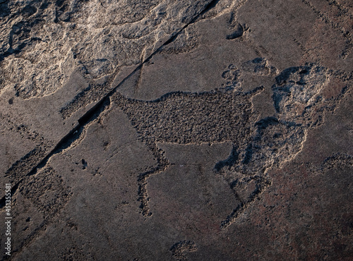 The famous petroglyphs at Cape Besov nos in Lake Onega, Deer drawing photo