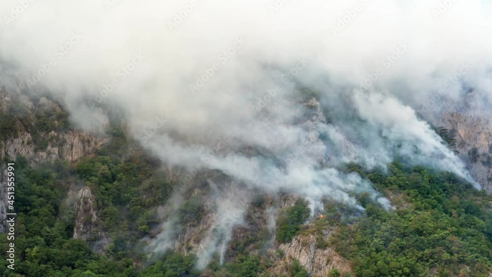 Rainforest burning in a WILDFIRE, white plumes of thick smoke billowing over green hillside - cliff. Forest is on fire causing deforestation. Global warming and climate change impact on environment. Rainforest burning in a WILDFIRE, white plumes of thick smoke billowing over green hillside - cliff. Forest is on fire causing deforestation. Global warming and climate change impact on environment.