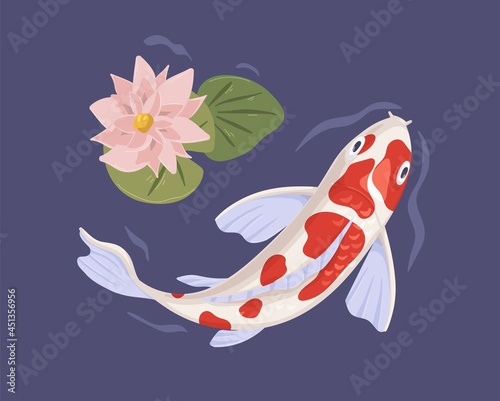 Japanese koi fish swimming in pond with flower. Japan carp in lake water. Top view of Chinese orient marine animal. Colored flat vector illustration of eastern river with waterlily