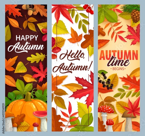 Hello Autumn vector banners with falling leaves, pumpkin and fall foliage. Mushrooms, pine cones, maple, oak or poplar and birch tree with chestnut leaf and rowan. Happy autumn time seasonal greetings