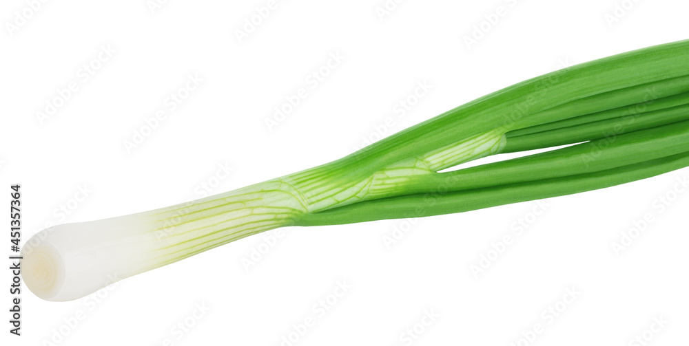 Fresh green onion isolated on white background. Fresh green onion isolated on white background.