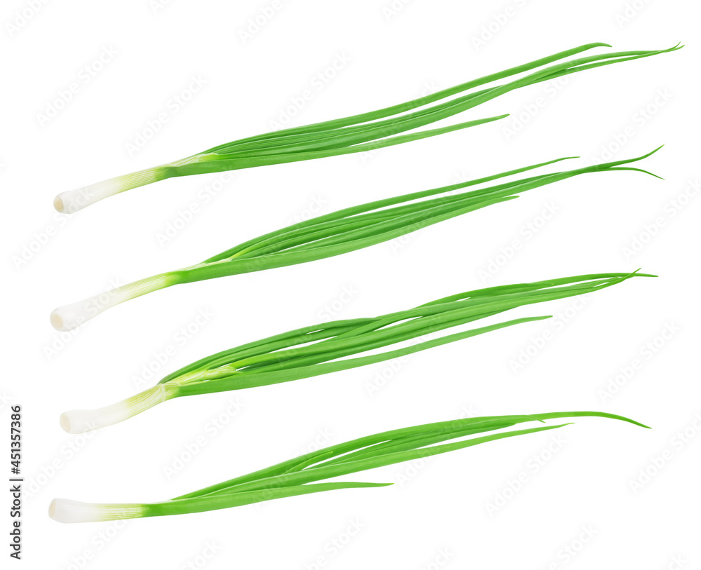 Fototapeta premium Collection of a fresh green onion isolated on white background.