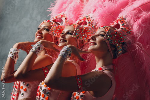 Fotografie, Tablou Three Women profile portrait in samba or lambada costume with pink feathers plumage