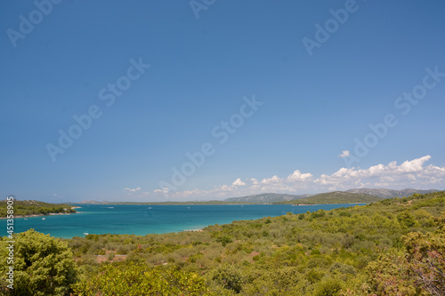 idyllic seascape near murter in croatia with green bushes in the foreground and crystal blue sea