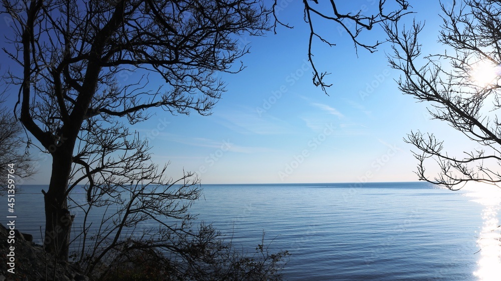 sea view through silhouettes of branches without leaves on calm blue water, winter sea view from a height of a hill overgrown with trees, beautiful image of a seascape in cold weather sea view through silhouettes of branches without leaves on calm blue water, winter sea view from a height of a hill overgrown with trees, beautiful image of a seascape in cold weather