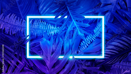 Colorful nature concept, Neon colorful of tropical leaves with neon frame, Leaf of plant, Creativity and design, Blue tone.