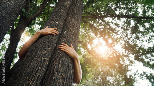Fotografie Woman hugging a big tree in the outdoor forest, Ecology and nature, Protect environment and save the forest, Energy sources for renewable, Earth day