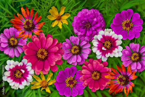 beautiful flower borders with pink white orange garden flowers on a grassy green background