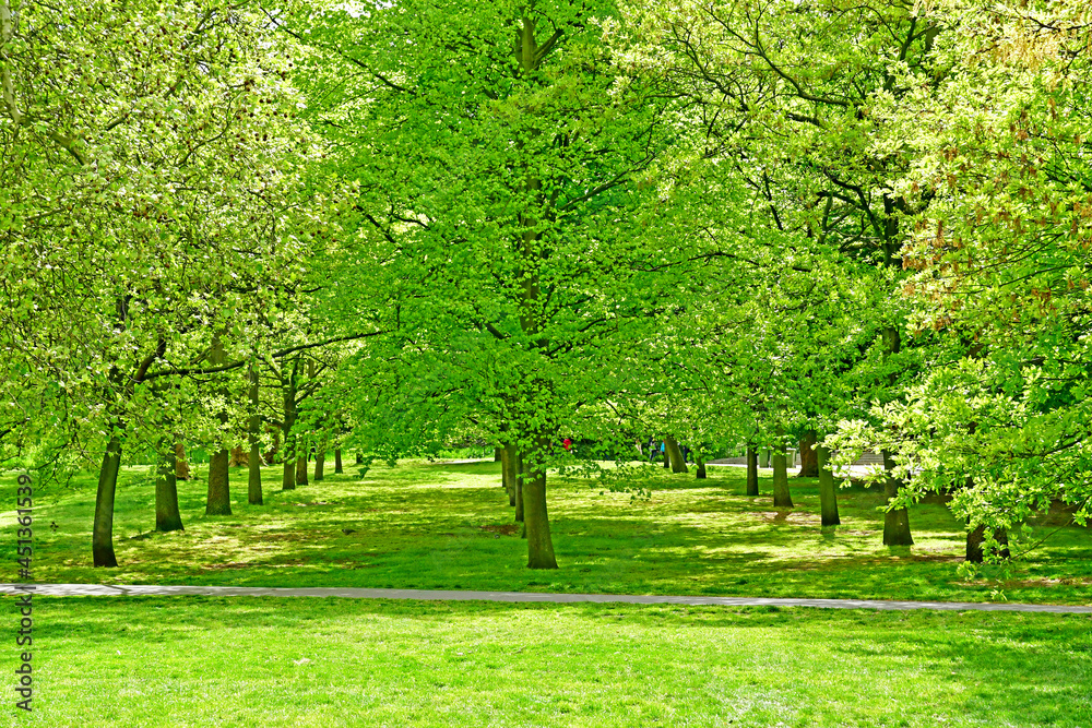 London, Greenwich; England - may 5 2019 : Greenwich Royal Park