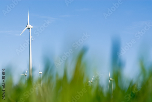 Windkraft durch Weidengras als Sinnbild für Ökologie und Sauberkeit © franzeldr