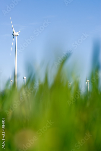 Windkraft durch Weidengras als Sinnbild für Ökologie und Sauberkeit © franzeldr