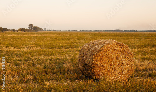 bale of hay