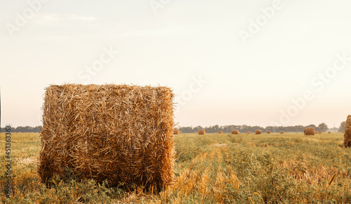 bale of hay