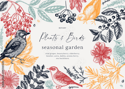 Hand-sketched autumn background with birds. Elegant frame design with autumn leaves, berries, flowers, and bird sketches in colors. 