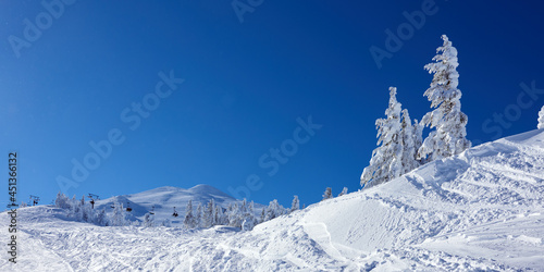 Snowy winter mountain panorama with two frosted tree central Oregon. © thecolorpixels