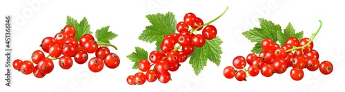 Set of red currant clusters with leaves isolated on white background