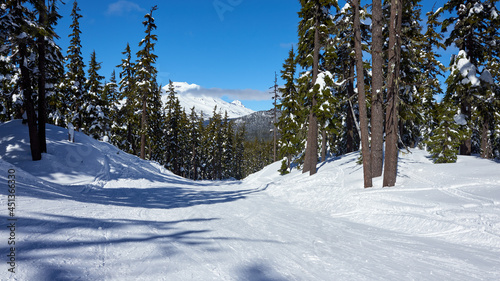 Winter mountain panorama from the ski slope on Mount Bachelor in Oregon.