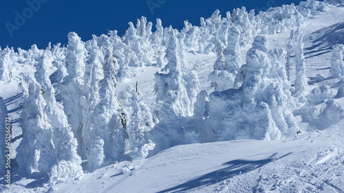 Winter panorama of the trees covered by snow and ice on the slopes of Mount Bachelor in Oregon.