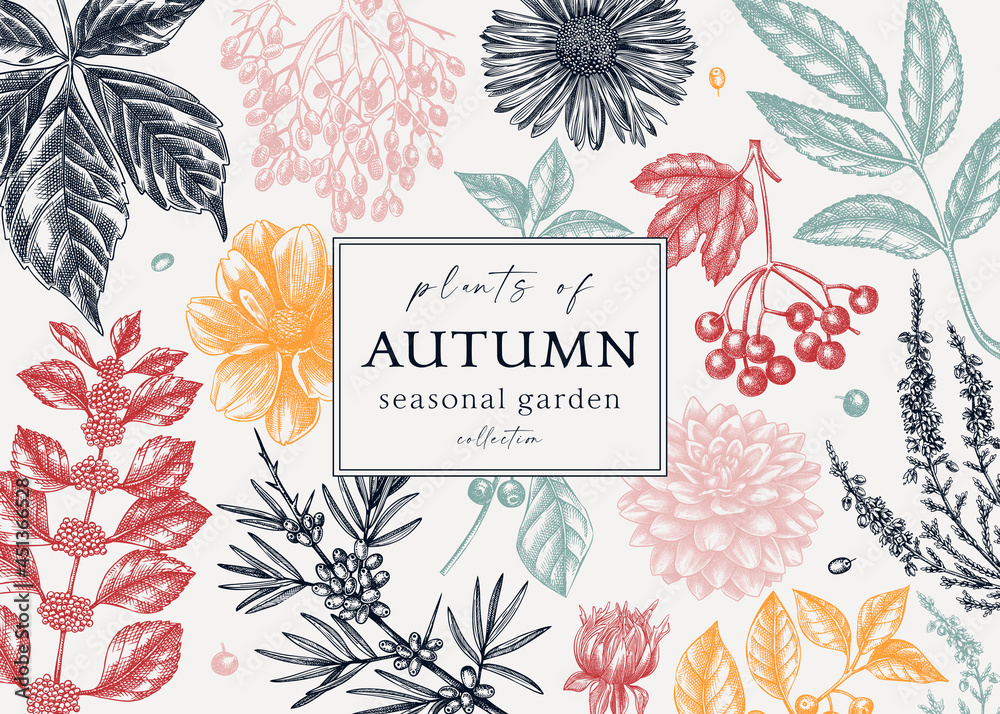 Hand sketched autumn banner. Elegant botanical design with autumn leaves, berries, flowers sketches. Perfect for invitation, cards, flyers, menu, label, banner, packaging. Vintage floral template.