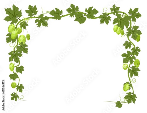 Rectangular Frame with Hops. A branch with dense leaves and cones. Sagging shoots with leaves. Wild nature. Flat style illustration with place for text. Isolated on white. Vector