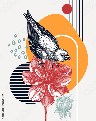 Hand-sketched greenfinch vector illustration. Perching bird on dahlia flower. Collage style illustration with geometric shapes and abstract elements. 