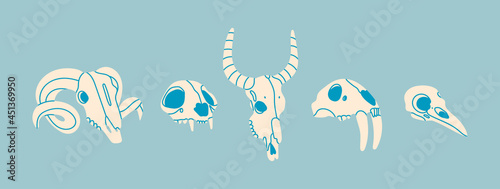Various Skulls of different animals and bird. Skull of ram, cat or tiger, buffalo or cow, saber toothed lion, lynx. Hand drawn trendy Vector illustration. All elements are isolated
