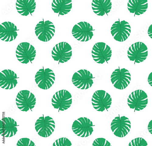 Monstera pattern. Green leaves on a white background. Plant leaves background