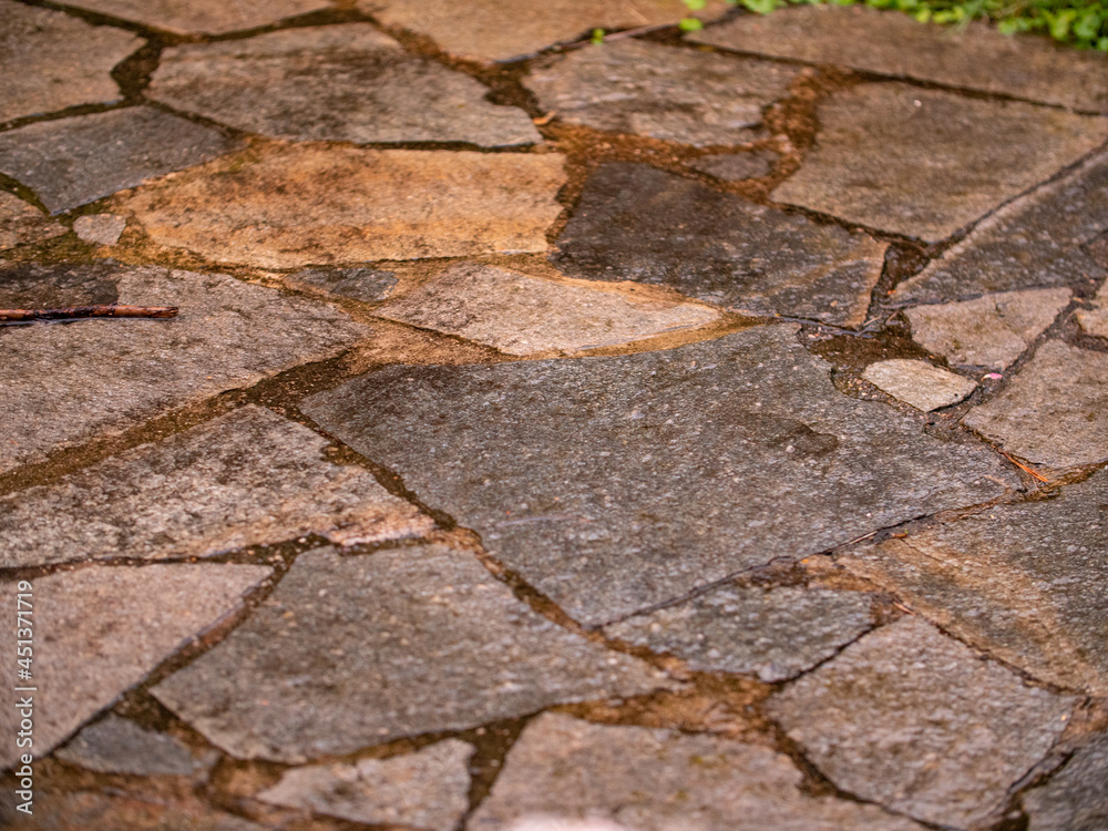 Fototapeta premium Natural stone path in the garden. The stones are wet from rain.