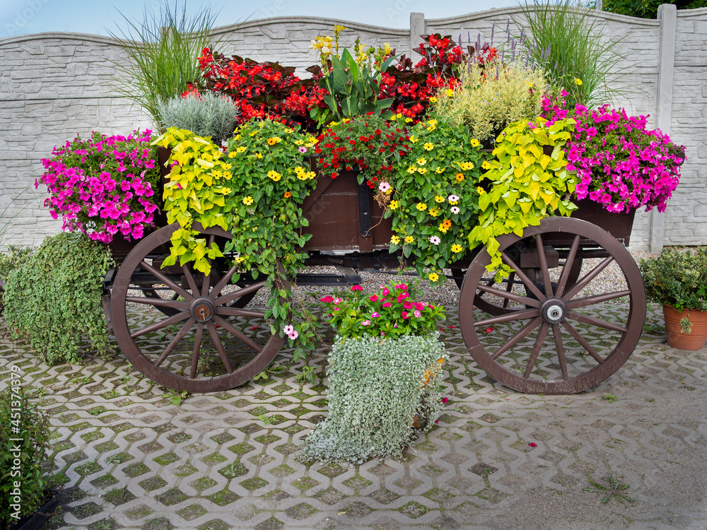horse cart in flowers