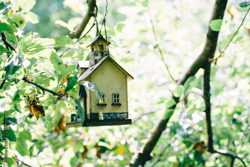 a feeder in the form of a house hanging from a tree © Анна Молько