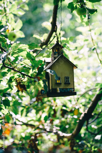 a feeder in the form of a house hanging from a tree © Анна Молько