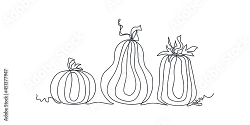 Pumpkins of different shapes drawn in one line isolated on white background. Sketch. Autumn. Thanksgiving day. Halloween. Contemporary art. Vector illustration.