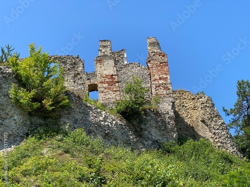 Castle fortress Ruzica grad or Utvrda Ruzica grad ili Tvrdjava Ružica grad, Duzluk - Orahovica, Croatia (Slavonija, Hrvatska) photo