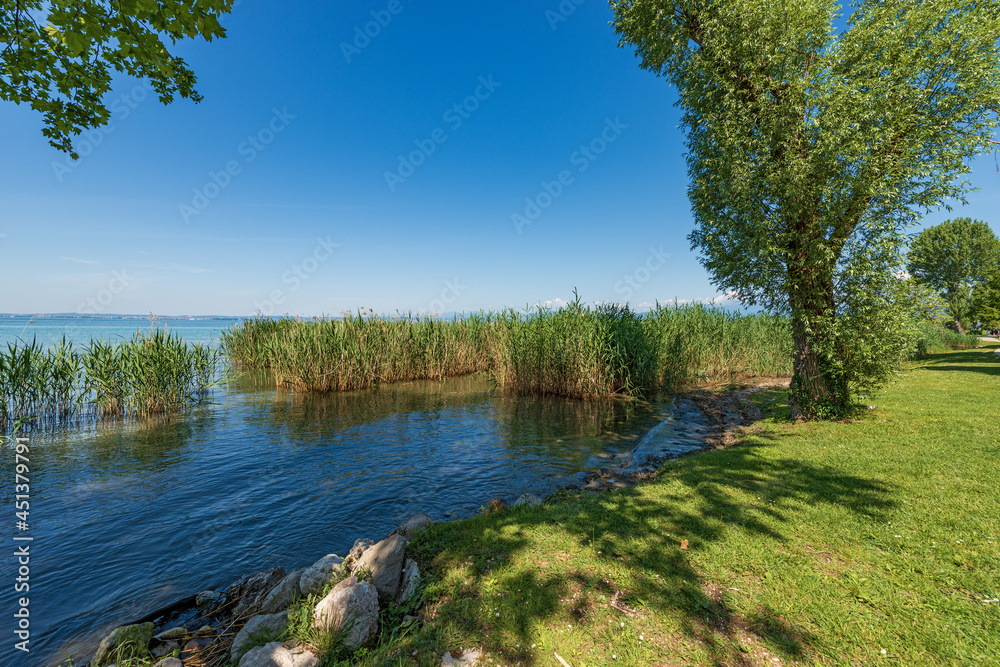 Beautiful coastline of the Lake Garda (Lago di Garda) with a green meadow, trees and reeds near the small village of Bardolino and Garda, Tourist resort in Verona province, Veneto, Italy, Europe. Beautiful coastline of the Lake Garda (Lago di Garda) with a green meadow, trees and reeds near the small village of Bardolino and Garda, Tourist resort in Verona province, Veneto, Italy, Europe.