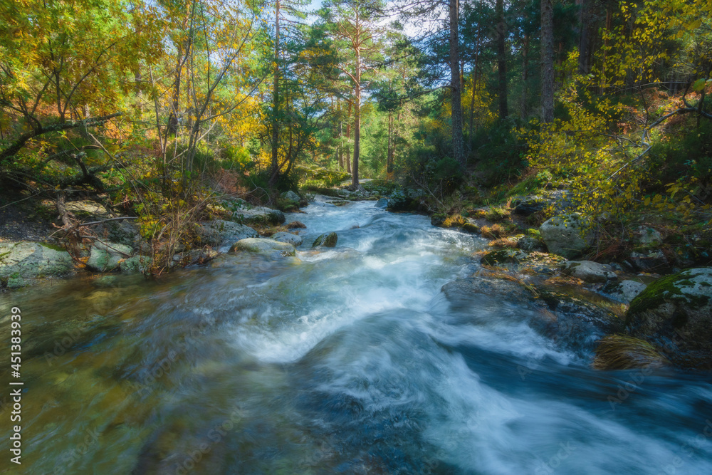 River waterfall landscape in autumn forest with orange and yellowish leaves of the trees at Guadarrama national park, Lozoya river, Spain