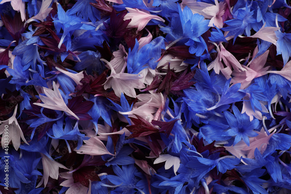 Beautiful colorful cornflowers petals as background, top view