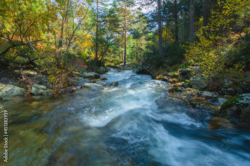 River waterfall landscape in autumn forest with orange and yellowish leaves of the trees at Guadarrama national park, Lozoya river, Spain