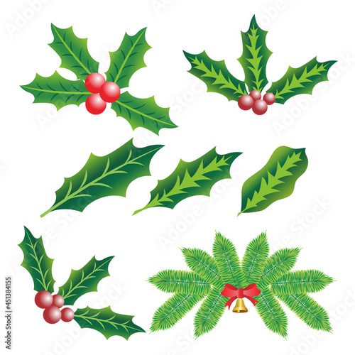holly berry and christmas tree leaves