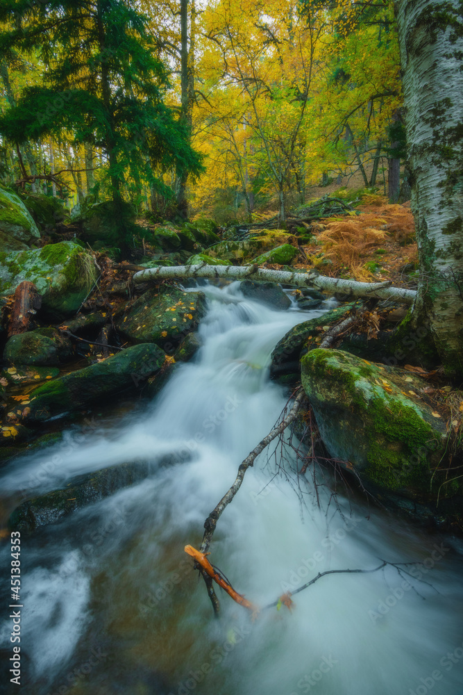River waterfall landscape with fallen tree trunks in autumn forest with orange and yellowish leaves of the trees at Guadarrama national park, Lozoya river, Spain